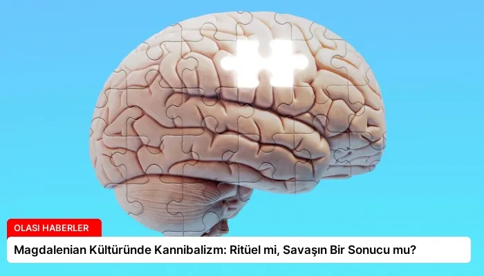 Magdalenian Kültüründe Kannibalizm: Ritüel mi, Savaşın Bir Sonucu mu?