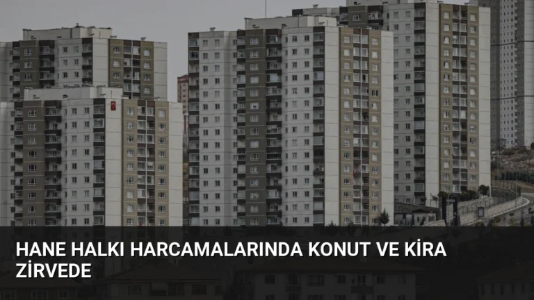 Hane Halkı Harcamalarında Konut ve Kira Zirvede