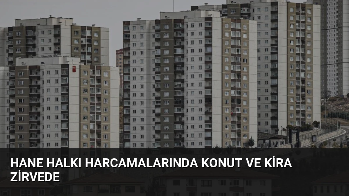 Hane Halkı Harcamalarında Konut ve Kira Zirvede