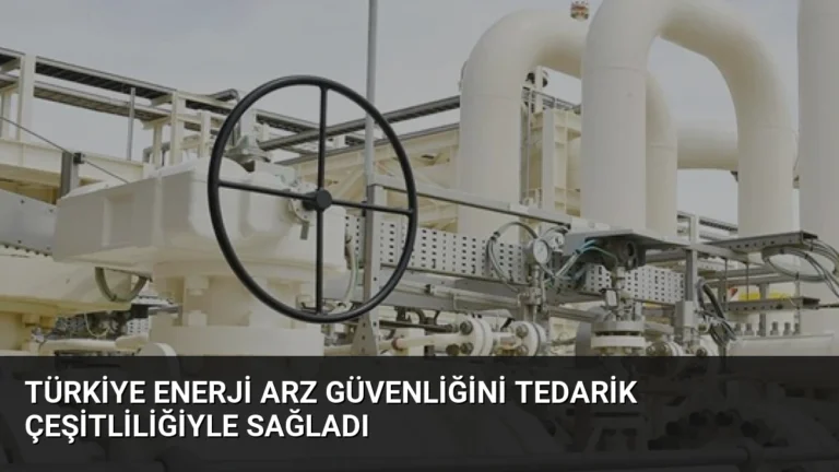 Türkiye Enerji Arz Güvenliğini Tedarik Çeşitliliğiyle Sağladı
