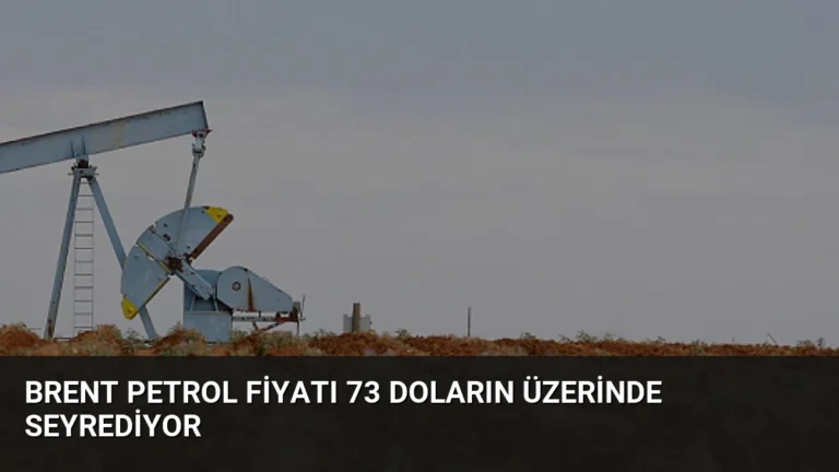 Brent Petrol Fiyatı 73 Doların Üzerinde Seyrediyor